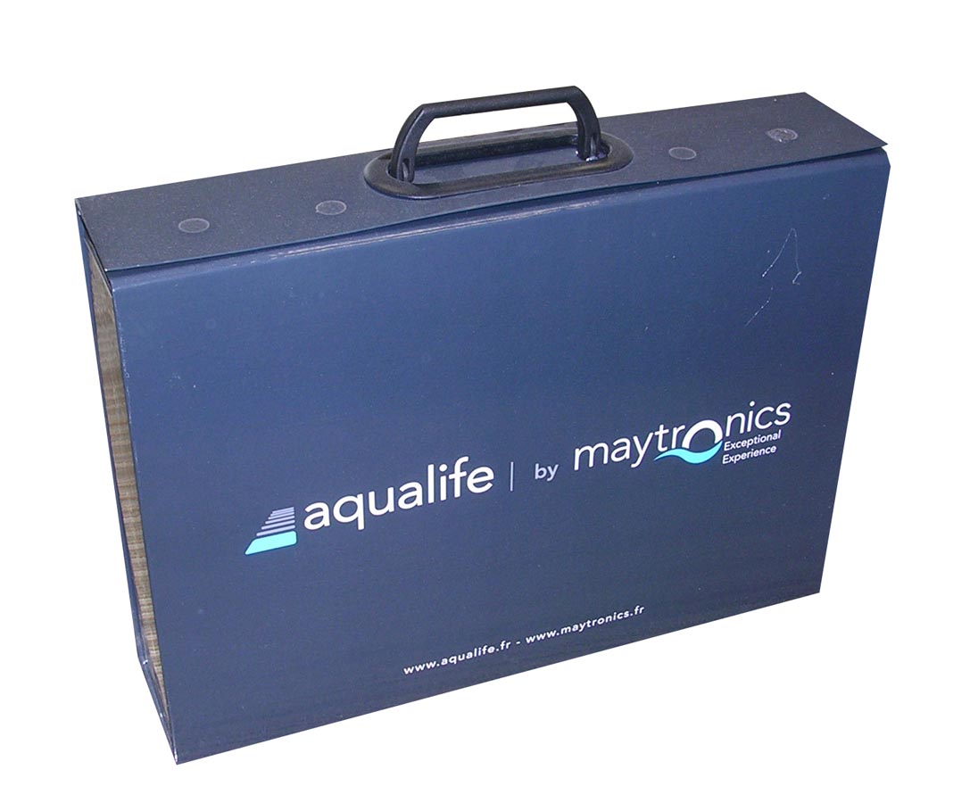 Valise carton (4)