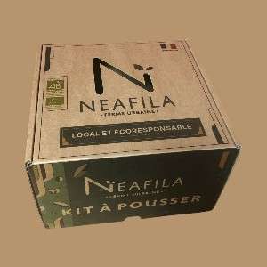 5070_Neafila1-Photoroom